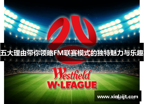 五大理由带你领略FM联赛模式的独特魅力与乐趣